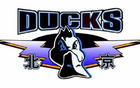 媒體人：北京隊全隊以曾凡博精神勝山西，勝利終結(jié)兩日輿論。