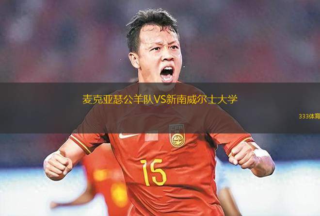 安卡拉德米斯堡VS伊拉茲斯堡
