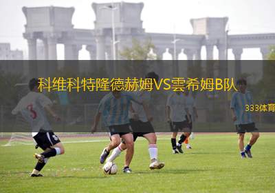 羅斯杜夫B隊(duì)VS軍團(tuán)迪納摩