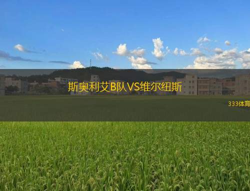 英特俱樂(lè)部VS剛果U17