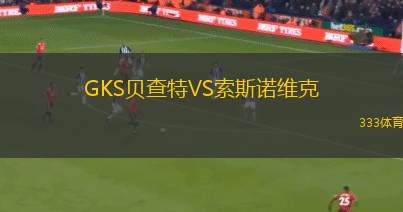索特拉VS比查格