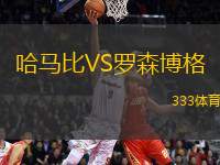 哈馬比VS羅森博格