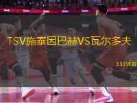 TSV施泰因巴赫VS瓦爾多夫
