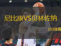 尼比康VS貝林佐納