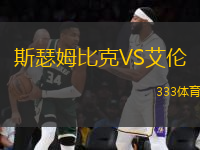 斯瑟姆比克VS艾倫