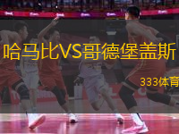 哈馬比VS哥德堡蓋斯