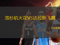 洛杉磯火花VS達(dá)拉斯飛翼