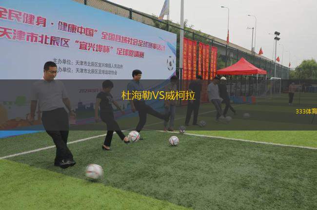 杜海勒VS威柯拉