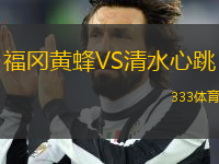 福岡黃蜂VS清水心跳