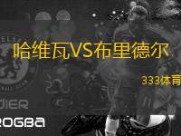 哈維瓦VS布里德爾