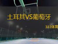 土耳其VS葡萄牙