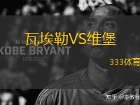 瓦埃勒VS維堡