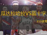 瓜達(dá)拉哈拉VS藍(lán)十字