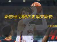 斯瑟維尼根VS史塔夫斯特