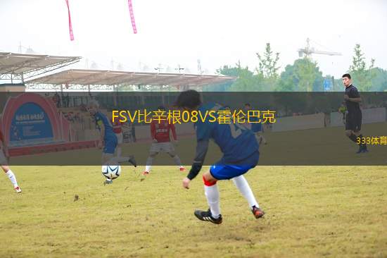 FSV比辛根08VS霍倫巴克