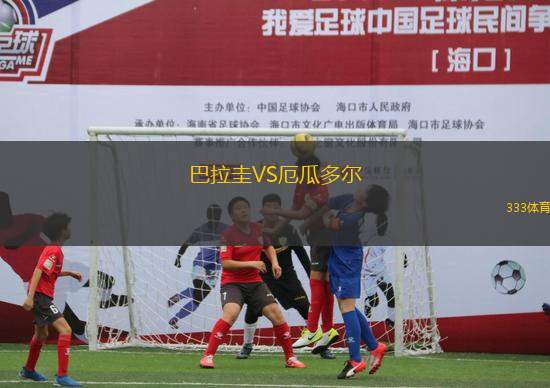 巴拉圭VS厄瓜多爾