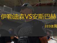 伊勒迪森VS安斯巴赫