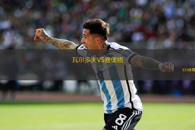 瓦爾多夫VS費(fèi)堡格