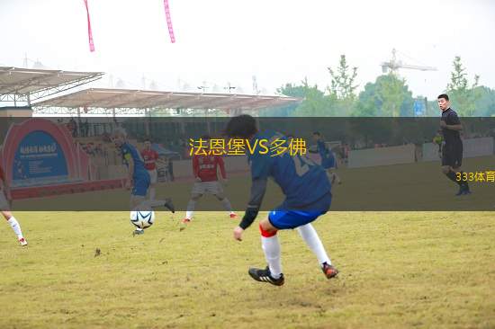 法恩堡VS多佛