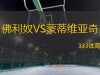 佛利奴VS蒙蒂維亞奇