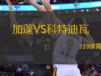 加蓬VS科特迪瓦