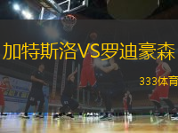 加特斯洛VS羅迪豪森