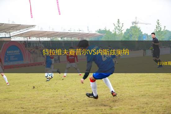 特拉維夫夏普爾VS內(nèi)斯茲奧納
