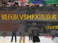 騎兵隊VSHFX流浪者