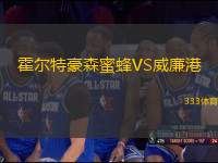霍爾特豪森蜜蜂VS威廉港