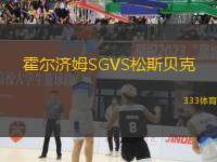 霍爾濟(jì)姆SGVS松斯貝克