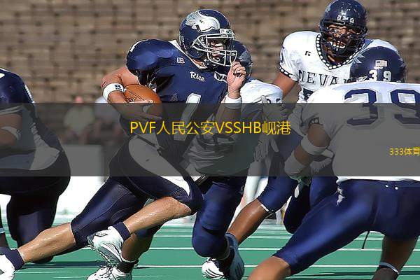 PVF人民公安VSSHB峴港