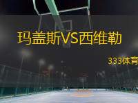瑪蓋斯VS西維勒