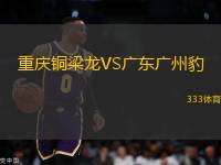 重慶銅梁龍VS廣東廣州豹