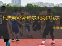 瓦夫斯VS斯哈爾貝克伊瓦爾
