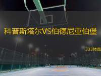 科普斯塔爾VS伯德尼亞伯堡