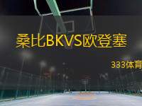 桑比BKVS歐登塞