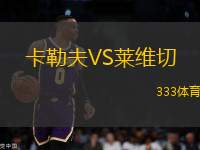 卡勒夫VS萊維切