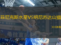 菲尼克斯水星VS明尼蘇達(dá)山貓