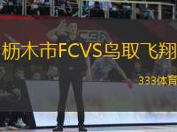 櫪木市FCVS鳥取飛翔