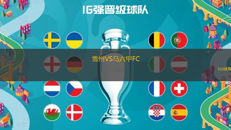 雪州VS馬六甲FC
