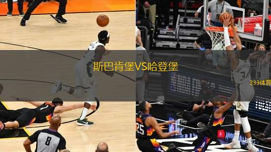 斯巴肯堡VS哈登堡