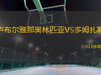 盧布爾雅那奧林匹亞VS多姆扎勒