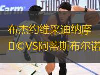 布杰約維采迪納摩VS阿蒂斯布爾諾