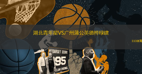 湖北青年星VS廣州蒲公英德樺綠建
