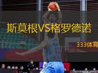 斯莫根VS格羅德諾