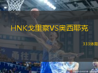 HNK戈里察VS奧西耶克