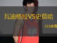 瓦迪格拉VS史莫哈