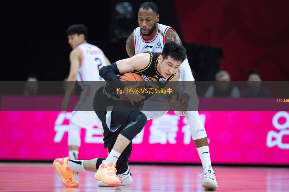 梅州客家VS青島海牛