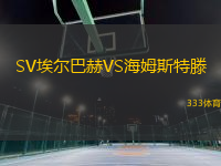 SV埃爾巴赫VS海姆斯特滕