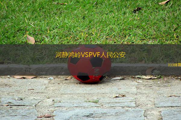 河靜鴻嶺VSPVF人民公安